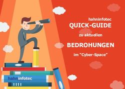 QUICK-GUIDE hahninfotec - BEDROHUNGEN