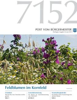 Feldblumen im Kornfeld - Gemeinde Pamhagen