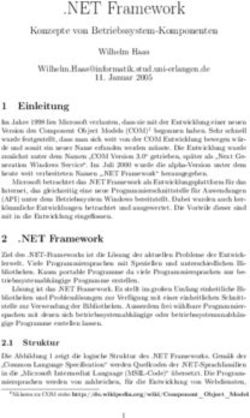 NET Framework Konzepte von Betriebssystem-Komponenten