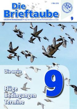 Fl&uuml;ge Bedingungen - RV Cloppenburg eV