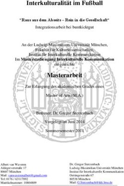 Interkulturalität im Fußball