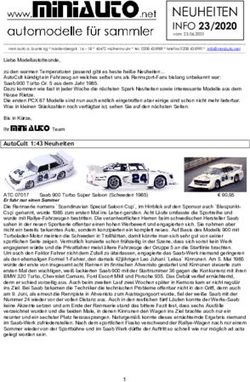 NEUHEITEN INFO 23/2020 - miniauto.net