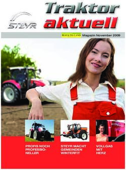 PROFIS NOCH PROFESSIO-NELLER STEYR MACHT GEMEINDEN WINTERFIT