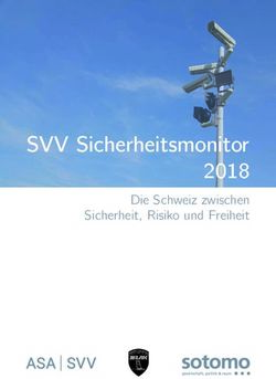 SVV Sicherheitsmonitor 2018 - Die Schweiz Zwischen Sicherheit, Risiko ...