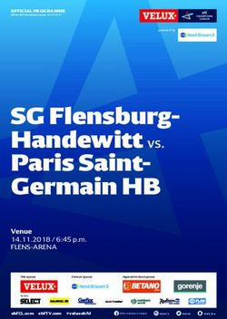 SG Flensburg-Handewitt vs.