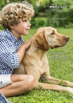 Innovation beginnt hier - Gesch&auml;ftsbericht 2019/2020