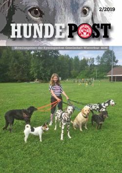2/2019 Mitteilungsblatt der Kynologischen Gesellschaft Winterthur KGW - KG Winterthur