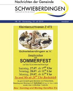 NR. 30 Donnerstag, 25. Juli 2019 - Schwieberdingen