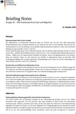 Briefing Notes Gruppe 62 - Informationszentrum Asyl und Migration - BAMF