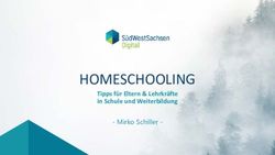HOMESCHOOLING - Mirko Schiller - Tipps f&uuml;r Eltern & Lehrkr&auml;fte in Schule und Weiterbildung - SWS Digital