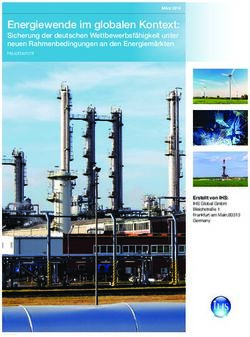 THE CHALLENGE TO GERMANY'S GLOBAL COMPETITIVENESS IN A NEW ENERGY WORLD