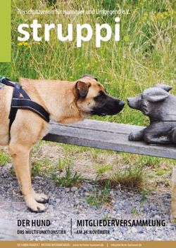 Struppi - DER HUND DAS MULTIFUNKTIONSTIER - Tierheim Hannover