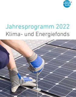 Jahresprogramm 2022 Klima- und Energiefonds