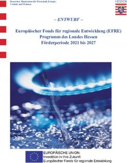 ENTWURF - Europäischer Fonds für regionale Entwicklung (EFRE) Programm des Landes Hessen Förderperiode 2021 bis 2027