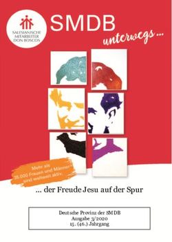 Der Freude Jesu auf der Spur - SMDB
