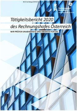 T&auml;tigkeitsbericht 2020 des Rechnungshofes &Ouml;sterreich - WIR PR&Uuml;FEN UNABH&Auml;NGIG UND OBJEKTIV F&Uuml;R SIE.