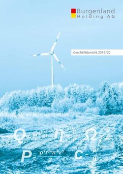 Pc = H * mQ= - Burgenland Holding AG