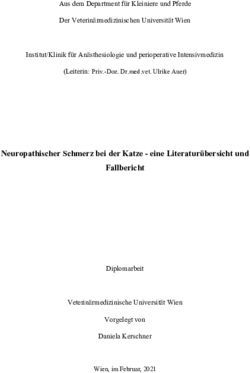 Neuropathischer Schmerz bei der Katze - eine Literaturübersicht und Fallbericht - Phaidra