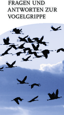 FRAGEN UND ANTWORTEN ZUR VOGELGRIPPE