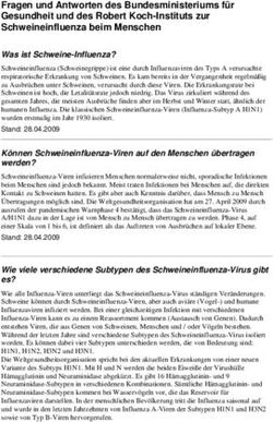 Fragen und Antworten des Bundesministeriums für Gesundheit und des Robert Koch-Instituts zur Schweineinfluenza beim Menschen