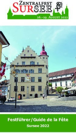 Festf&uuml;hrer/Guide de la F&ecirc;te - Sursee 2022 - Schweizerischer Studentenverein