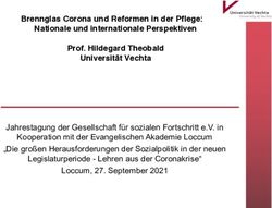 Brennglas Corona und Reformen in der Pflege: Nationale und internationale Perspektiven