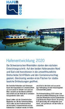 Hafenentwicklung 2020 - Port of Switzerland