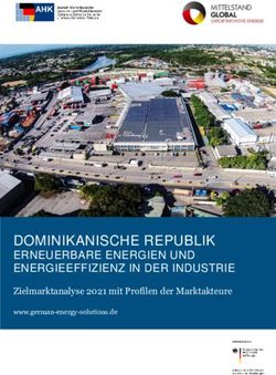DOMINIKANISCHE REPUBLIK - ERNEUERBARE ENERGIEN UND ENERGIEEFFIZIENZ IN DER INDUSTRIE Zielmarktanalyse 2021 mit Profilen der Marktakteure ...