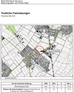 Textliche Festsetzungen - Stadt Steinbach (Taunus) Bebauungsplan "St.-Florian-Weg"