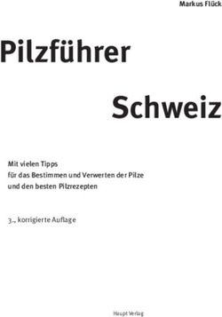 Pilzf&uuml;hrer Schweiz Markus Fl&uuml;ck - Haupt Verlag