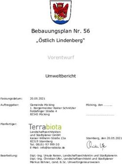 Bebauungsplan Nr. 56 "&Ouml;stlich Lindenberg" Vorentwurf - Gemeinde ...