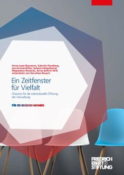 EIN ZEITFENSTER F&Uuml;R VIELFALT - CHANCEN F&Uuml;R DIE INTERKULTURELLE &Ouml;FFNUNG DER VERWALTUNG - DEZIM-INSTITUT