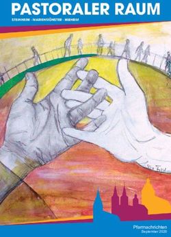 Pfarrnachrichten September 2020 - Pastoralverbund Steinheim