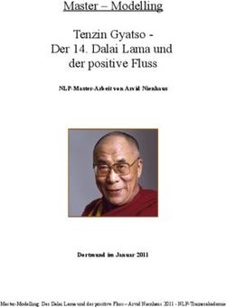 Master - Modelling Tenzin Gyatso - Der 14. Dalai Lama und der positive Fluss - NLP-Master-Arbeit von Arvid Nienhaus - Dortmund im Januar 2011