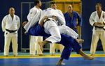 ESPOIR - EINLADUNG Samstag & Sontag 11. und 12. Januar 2020 Eindhoven | Die Niederlande - Judo Bond Nederland