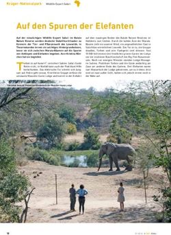Auf den Spuren der Elefanten - Big Jump Africa