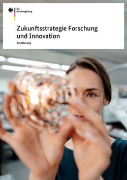 Zukunftsstrategie Forschung Und Innovation - Kurzfassung