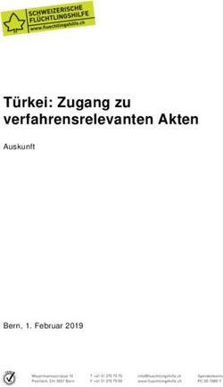 T&uuml;rkei: Zugang zu verfahrensrelevanten Akten - Auskunft - Bern, 1. Februar 2019 - Schweizerische ...