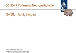 SS 2019 Vorlesung Neuropathologie Gef&auml;&szlig;, Infarkt, Blutung - Martin Hasselblatt Institut f&uuml;r Neuropathologie