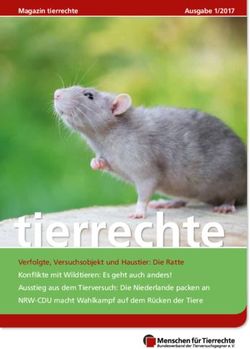Tierrechte - Magazin tierrechte Ausgabe 1/2017 - Menschen für Tierrechte