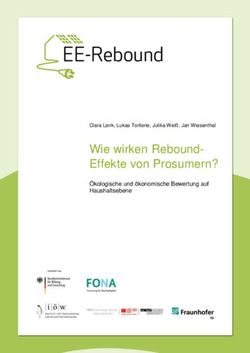 Wie wirken Rebound-Effekte von Prosumern? - &Ouml;kologische und &ouml;konomische Bewertung auf Haushaltsebene - Institut f&uuml;r ...