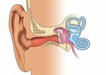 Wieder hören dank Cochlea-Implantat - Informationen der Klinik für Hals-, Nasen- und Ohrenheilkunde sowie Plastische Kopf- und Halschirurgie des DIAKO