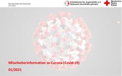 Mitarbeiterinformation zu Corona (Covid-19) 01/2021 - Drogenhilfe ...