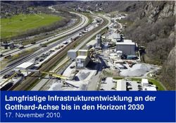 Langfristige Infrastrukturentwicklung an der Gotthard-Achse bis in den Horizont 2030 - November 2010.