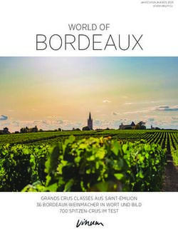 BORDEAUX WORLD OF - GRANDS CRUS CLASS&Eacute;S AUS SAINT-&Eacute;MILION 36 BORDEAUX-WEINMACHER IN WORT UND BILD - VINUM