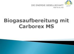 Biogasaufbereitung mit Carborex MS