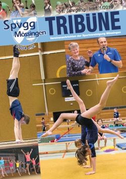 Jahrgang Heft 1/2019 - Spvgg Mössingen
