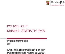 POLIZEILICHE KRIMINALSTATISTIK (PKS) - Presseinformation zur Kriminalit&auml;tsentwicklung in der Polizeidirektion Neuwied 2020