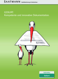GEBURT. KOMPETENTE UND INNOVATIVE DOKUMENTATION - GEBURT GEDOWIN