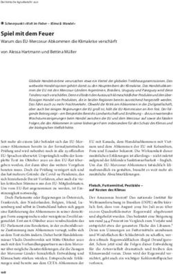 Spiel mit dem Feuer Warum das EU-Mercosur-Abkommen die Klimakrise verschärft von Alessa Hartmann und Bettina Müller - kritischer-agrarbericht.de
